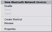 Network Connections : right click Bluetooth Network Connection, then select View Bluetooth Network Devices on the menu.