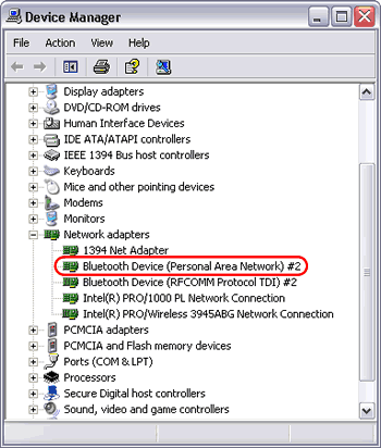 Bluetooth Personal Area Network (PAN) driver on Device Manager on the notebook