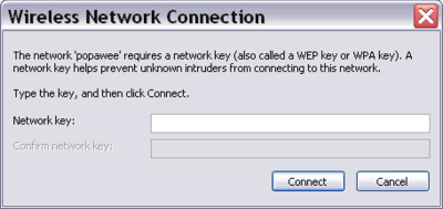 Network key input box in Wireless Network Connection window
