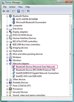 Windows Vista: Control Panel > System > Device Manager > Network adapters: Bluetooth Device (Personal Area Network)