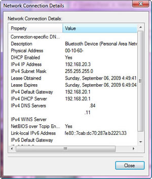 Network Connection Details : Bluetooth Device (PAN), IPv4 IP address 192.168.20.3, IPv4 Default Gateway/DHCP Server 192.168.20.1